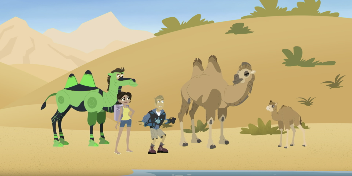 Wild Kratts - S7E5 - Backpack the Camel | Knowledge Kids